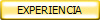 EXPERIENCIA